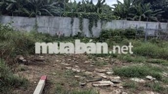 LÔ ĐẤT 78M2 TRẦN ĐÌNH NAM - GẦN KĐT PHƯỚC LÝ - ĐÀ NẴNG, 2TY600 (TL)