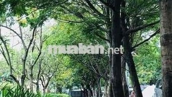 Cho nữ thuê phòng, đầy đủ nội thất