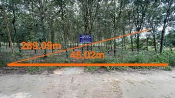 Công ty Đấu giá hợp danh Lam Sơn Sài Gòn THÔNG BÁO ĐẤU GIÁ TÀI SẢN