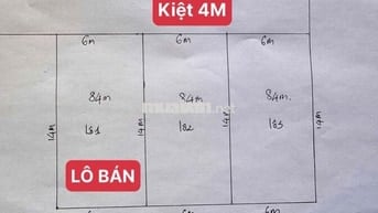 🏡 ĐẤT ĐẸP TÔN ĐẢN – XÂY NHÀ AN CƯ LÝ TƯỞNG