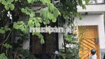 Phòng thoáng đẹp gác cao giá hỗ trợ không phí dịch vụ