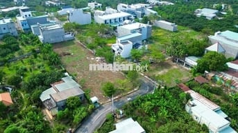 Đất Biên Hòa 520m2 đường 8m giá 2,58 tỷ TL, trả trước 799tr