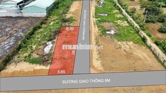 HOT 💥ĐẤT F0 ĐẦU TƯ GIÁ RẺ SỔ RIÊNG NGAY 1 SẸC ĐƯỜNG ĐT 768