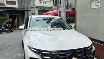 Hyundai Tucson 2025 Đặc biệt Trắng 10401 km