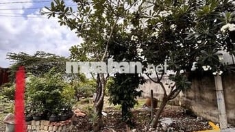 Bán đất giá tốt hẻm 154, Vườn Lài, P An Phú Đông