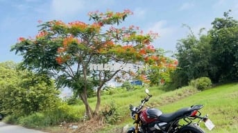 Triumph Speed 400 T1/2026 Đỏ 1.500 Km