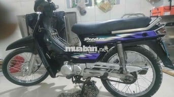 XE NHÀ BÀ XÃ ĐI CHỢ MÁY BAO NGON ĐỦ GIẤY TỜ
