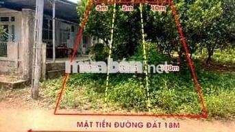 Chính chủ bán vườn mít hơn 2.000m² sát QL13, gần KCN Chơn Thành