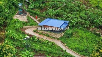BÁN ĐẤT VƯỜN VIEW SÔNG LA NGÀ – DIỆN TÍCH 1.400m² – GIÁ CHỈ HƠN 1 TỶ