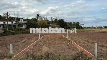 BÁN LÔ ĐẤT FULL THỔ CƯ CÁCH BIỂN 1.5km