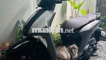 Yamaha Janus 2023 Xám