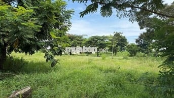 Đất Đẹp Có Sổ- Mặt Tiền 16m - View Công Viên