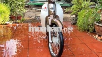 Cub Led 50cc 2023 Zin Chính Chủ