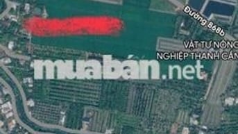 Đất vị trí đắc địa ngay TX Cai Lậy MT đường tránh 868