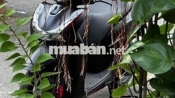 Honda SH 125i ABS 2025 fun đen black