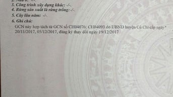 CĂN 1: Cho thuê đất chính chủ giá rẻ 3MT Tỉnh Lộ 7, X.Thái Mỹ, H.Củ Ch