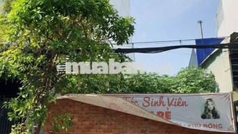 HHMG1%, Bán đất hẻm 87/117 Nguyễn Sỹ Sách, 5x 20, Hẻm 6m.