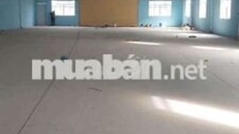Xưởng Thuận Giao 1000m giá 40 triệu