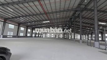 CHO THUÊ KHO XƯỞNG HUYỆN ĐỨC HÒA ,TỈNH LONG AN ( TÂY NINH MỚI )