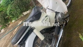 Honda Cup 50 2019 Trắng