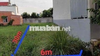 🌿 BÁN LÔ ĐẤT ĐẸP – PHƯỚC LÝ, CẦN GIUỘC, LONG AN