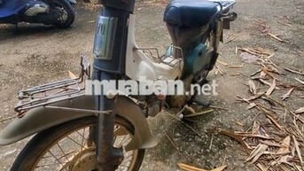 Honda Cub 81 Xanh trắng Đã sử dụng