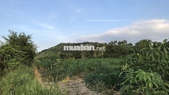 Bán 8863m2 giá rẻ 160k/m2, xã Tân Minh, Lâm Đồng, sát bên cao tốc, KCN