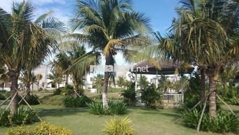 Đất 2 mặt tiền view công viên - Trần Anh Riverside (Bến Lức)