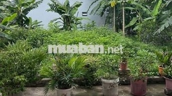 BÁN ĐẤT ĐẦU TƯ 58m, THƯỜNG TÍN