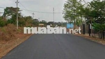🚨 TÌM ĐÂU RA ĐẤT MẶT TIỀN TỈNH LỘ 1 EANUOL GIÁ 740K/M²?