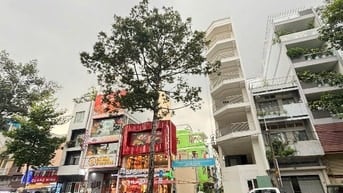 BÁN NHÀ MẶT TIỀN AN DƯƠNG VƯƠNG – P. CHỢ QUÁN, TP.HCM (P.3, Quận 5 cũ)