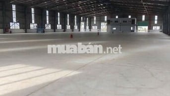 Cho thuê xưởng 3600m² KCN Đất Đỏ, điện 1200 KVA, PCCC tự động