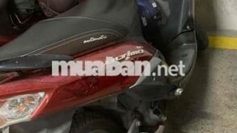 Yamaha Ultimo Đỏ đã sử dụng
