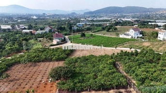 Bán đất view hồ Từ Liêm tại Nam Ban Lâm Hà- ven Đà Lạt