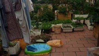 Cần cho thuê gấp nhà TT tầng 3 khu A2 Triều khúc Thanh Xuân 