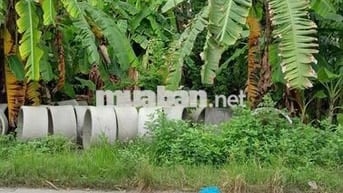 HÀNG ĐẦU TƯ BÁN ĐẤT ĐƯỜNG DX006 PHÚ MỸ THỦ DẦU MỘT 181M² NGANG 6M-4.1