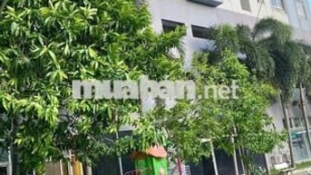 Cho thuê Căn hộ Ngọc Lan khu biệt thự Tấn Trường 52m², 1pn/8tr/th