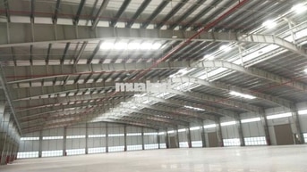 Cho thuê kho xưởng huyện đức hòa , Tỉnh Long An ( Tây Ninh Mới ) 