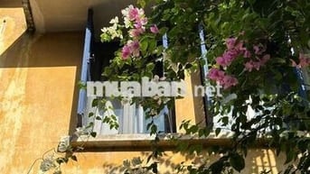Nhà nguyên căn Phan Kế Bính Q1, 2pn1wc