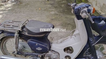 Honda Cub Custom 70cc Xanh Trắng