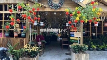 Siêu hiếm giữa trung tâm Q3 diện tích khủng ngang 12m