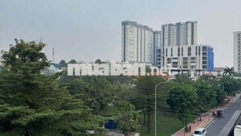 Bán Biệt Thư đường nội khu cao lỗ p4