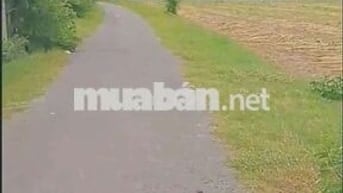 BÁN 5764M2 ĐẤT - 400M2 THỔ CƯ - 120M MẶT TIỀN ĐƯỜNG NHỰA