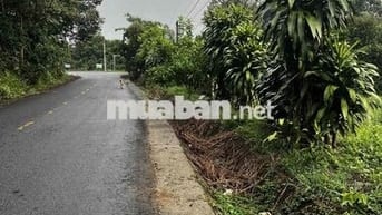 700m² MT đường nhựa - 80m² thổ cư - Vườn sầu riêng đang thu - 1,7 tỷ