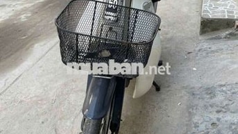 Honda Cub 81 _50cc