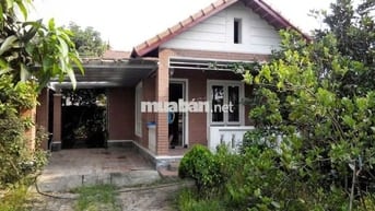 Cho thuê nhà vườn Xuân Khôi, Long Biên, HN