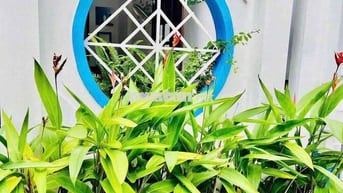 CHO THUÊ NHÀ C4 MT TẠ MỸ DUẬT   Diện tích : 90m Nhà có 2pn,2wc,sân để