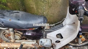 Honda Dream Tím