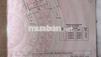 Bán đất nền khu dân cư Cần Giờ - 100m2 Full thổ cư - Giá chỉ 20tr/m2