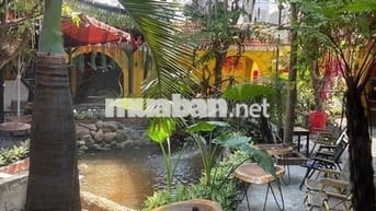 cần sang lại quán cafe sân vườn tâm huyết